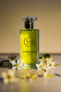 Parfum Luminescence 100 ml
